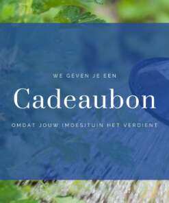 Just-Pure Cadeaubon